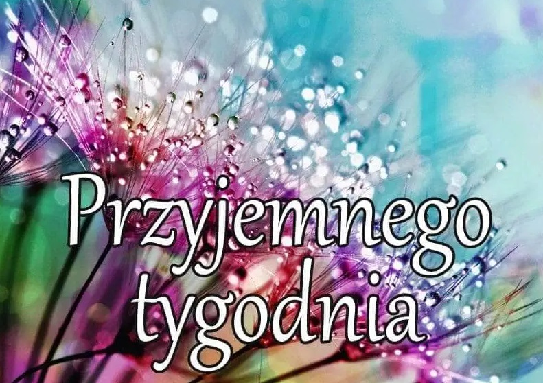 Piękne kwiaty miłego tygodnia